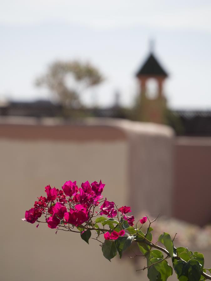 Dar Andamaure Hotel Marrakesh Bagian luar foto